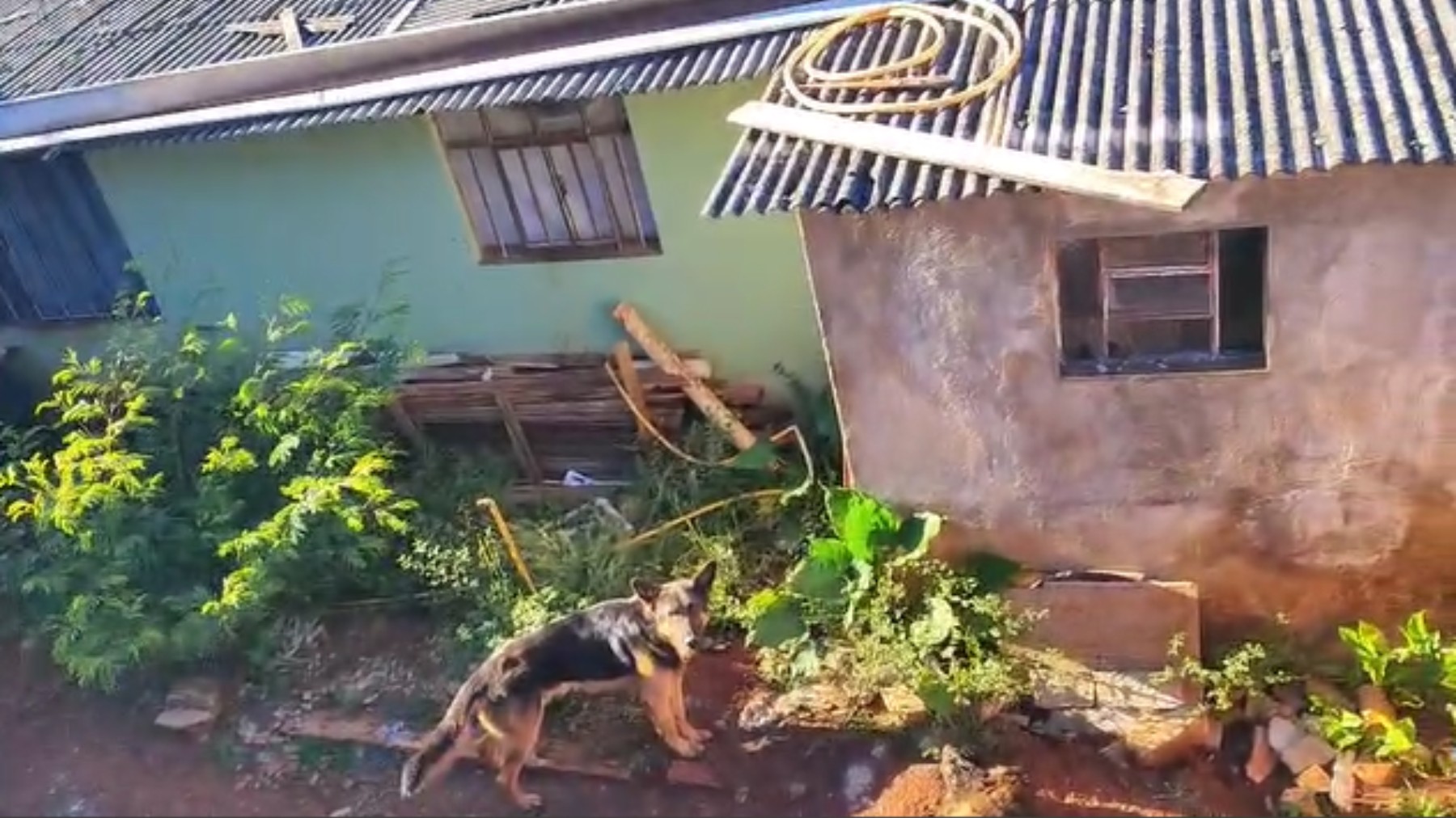 foto Not&iacute;cia Medianeira