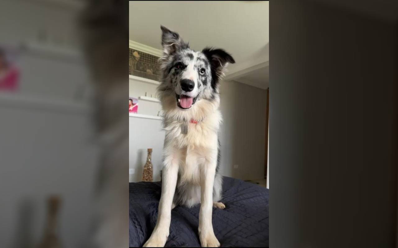 foto Not&iacute;cia Medianeira